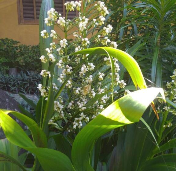 پانسیون Chácara Portal Do Dragão Suíte Independente 1