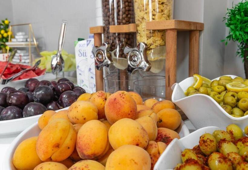 هتل North Star Suite