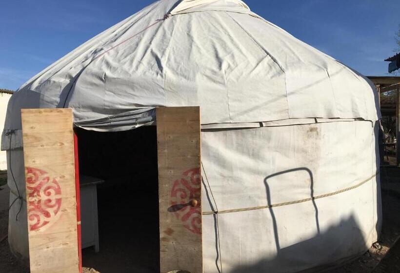 پانسیون Guest House Ariet