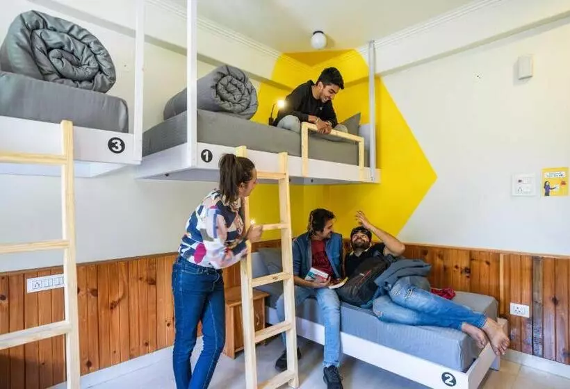 ユースホステル Zostel Kasol