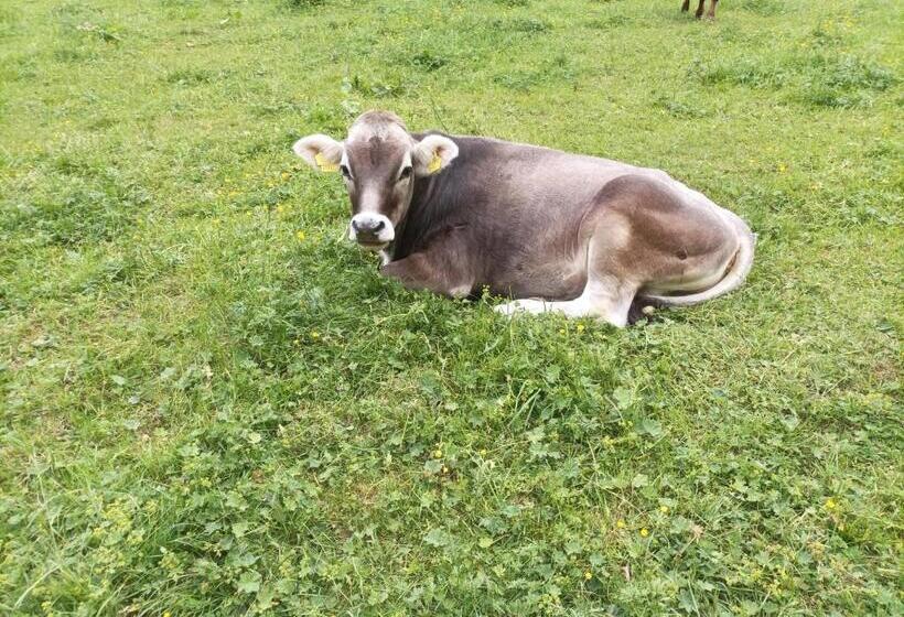 فندق Ferienwohnung Hartlgut