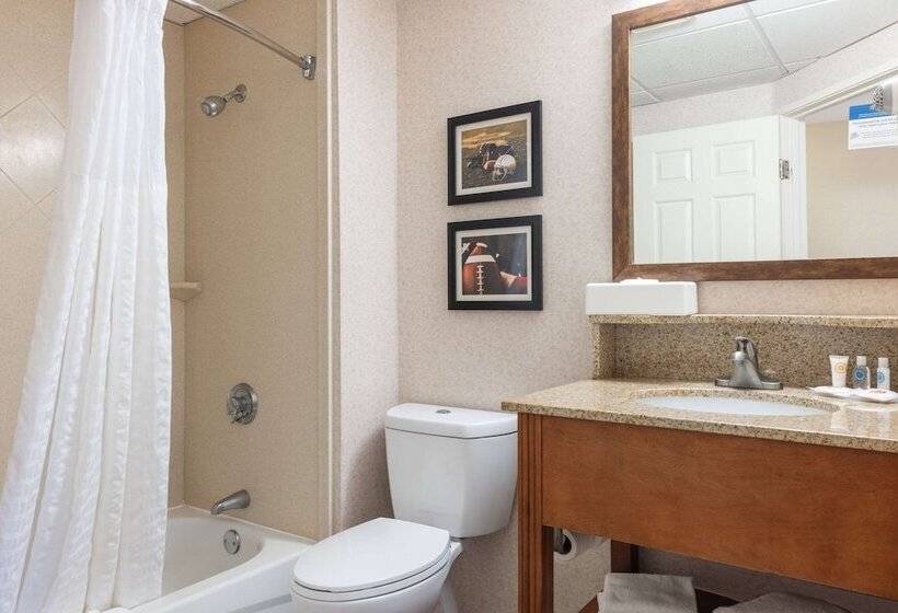 酒店 Comfort Inn Foxboro   Mansfield