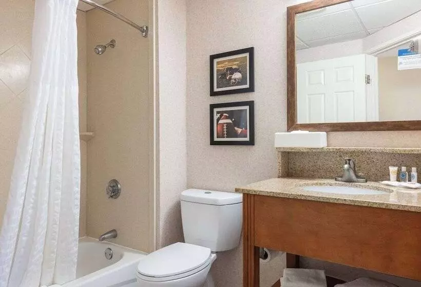 Hotelli Comfort Inn Foxboro   Mansfield