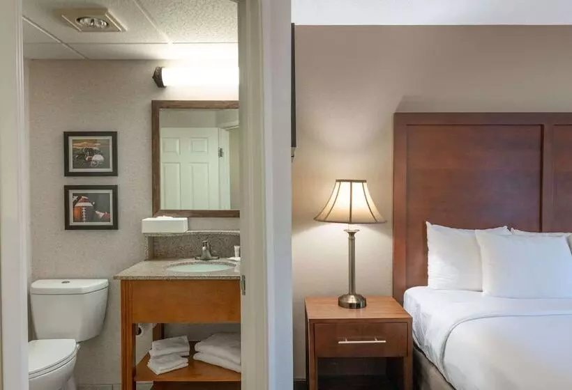 Hotelli Comfort Inn Foxboro   Mansfield