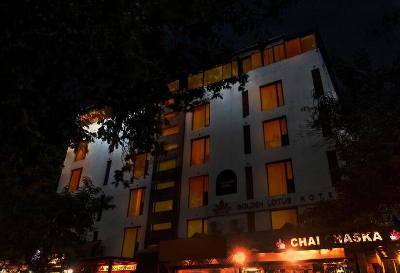 Отель Oak Whiteridge Near L.v Prasad & Basava Tharakam Hospital Banjara Hills