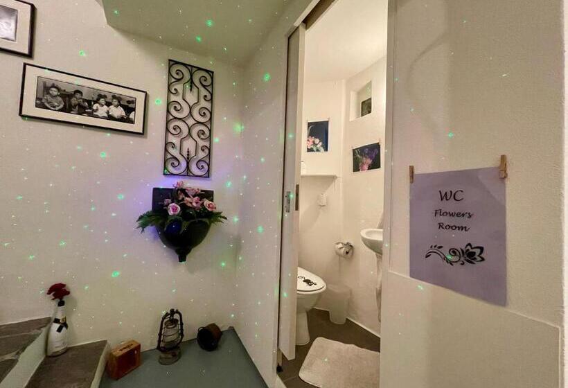 Pensionat 1912 Flowers Room Budget For Young