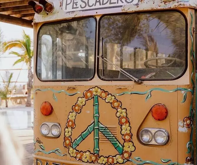 Baja Nomads Hotel   Adults 15 Plus