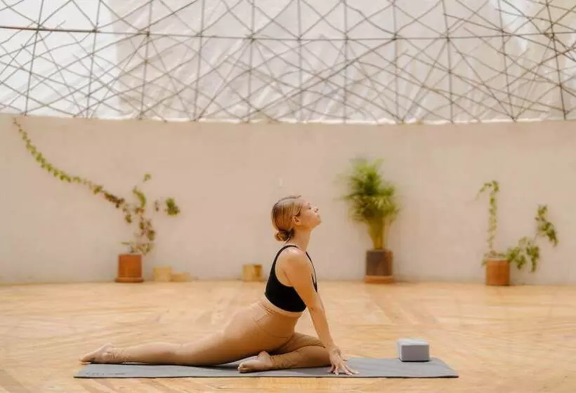 Baja Nomads Hotel   Adults 15 Plus