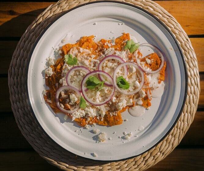 Baja Nomads Hotel   Adults 15 Plus