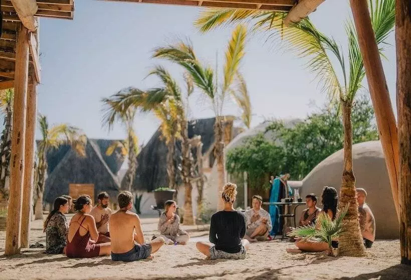 Baja Nomads Hotel   Adults 15 Plus
