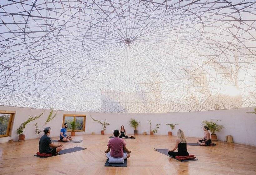 Baja Nomads Hotel   Adults 15 Plus