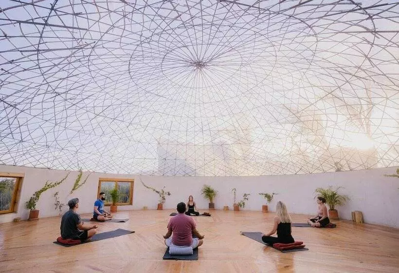 Baja Nomads Hotel   Adults 15 Plus