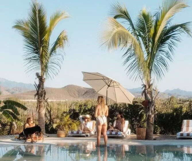 Baja Nomads Hotel   Adults 15 Plus