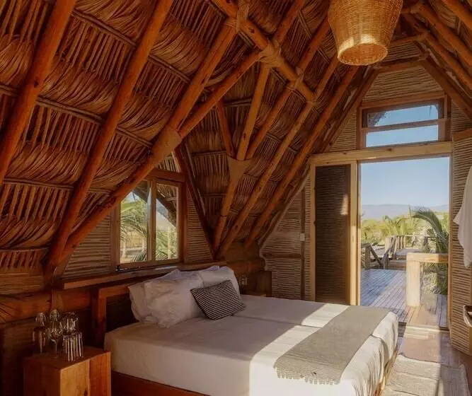 Baja Nomads Hotel   Adults 15 Plus