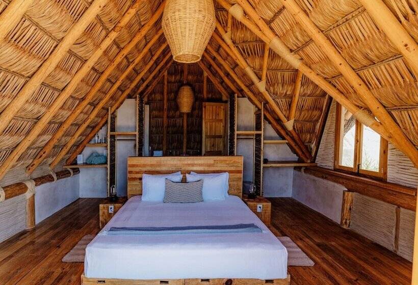 Baja Nomads Hotel   Adults 15 Plus