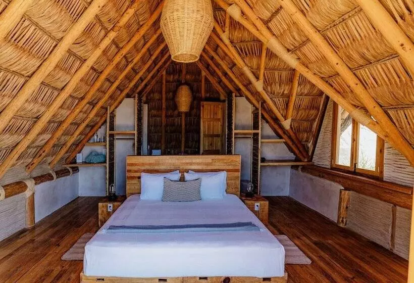 Baja Nomads Hotel   Adults 15 Plus