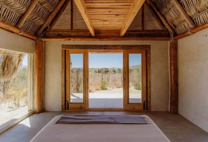 Baja Nomads Hotel   Adults 15 Plus