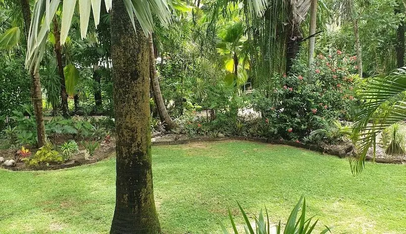 Aamiaismajoitus (B&B) Paperbark Retreat