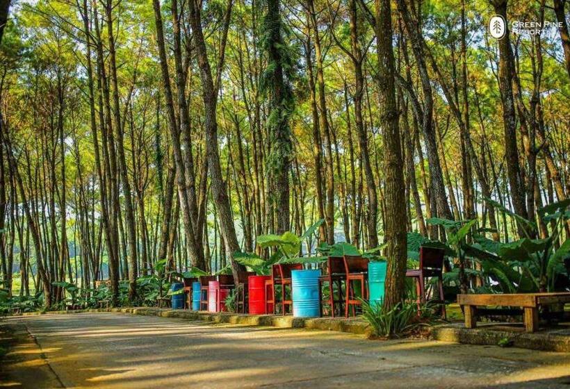 هتل Trang An Golf And Resort