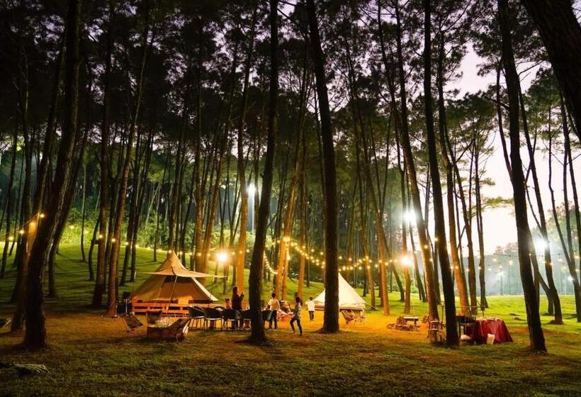 هتل Trang An Golf And Resort