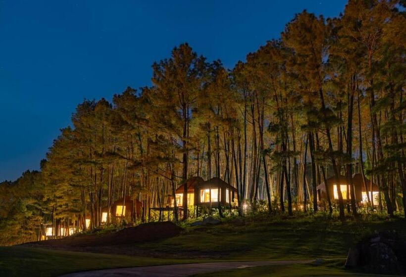 هتل Trang An Golf And Resort