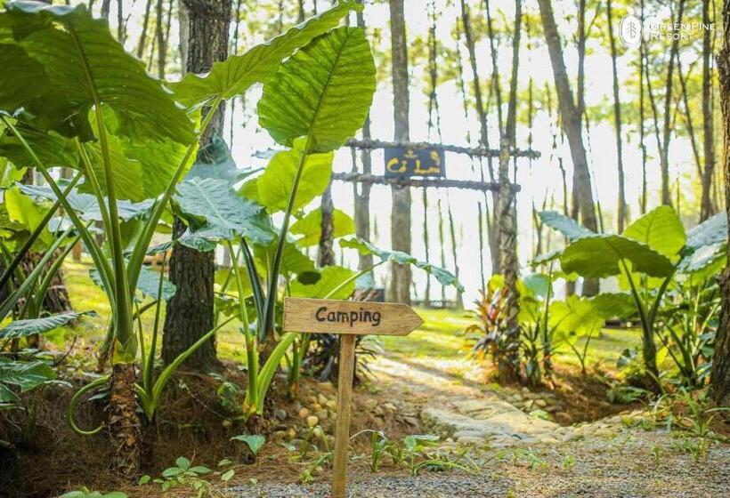 هتل Trang An Golf And Resort