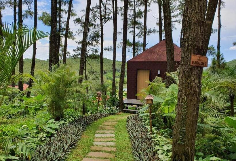 هتل Trang An Golf And Resort