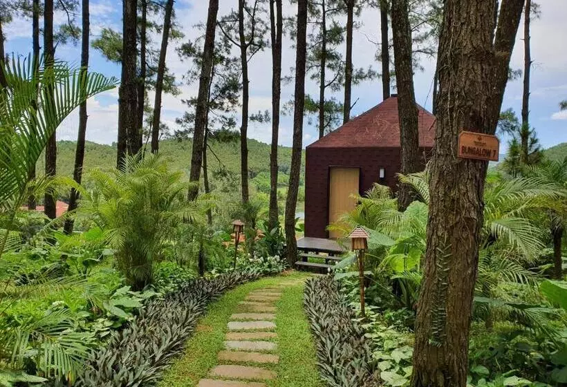 هتل Trang An Golf And Resort