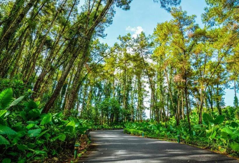 هتل Trang An Golf And Resort