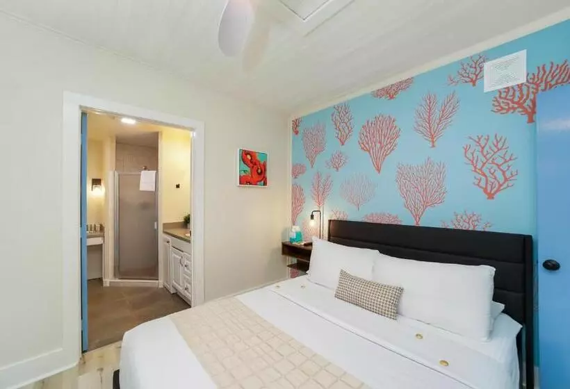 هتل Tranquillity Guest House