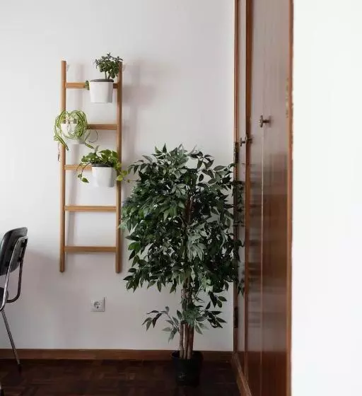 ペンション Kirana House