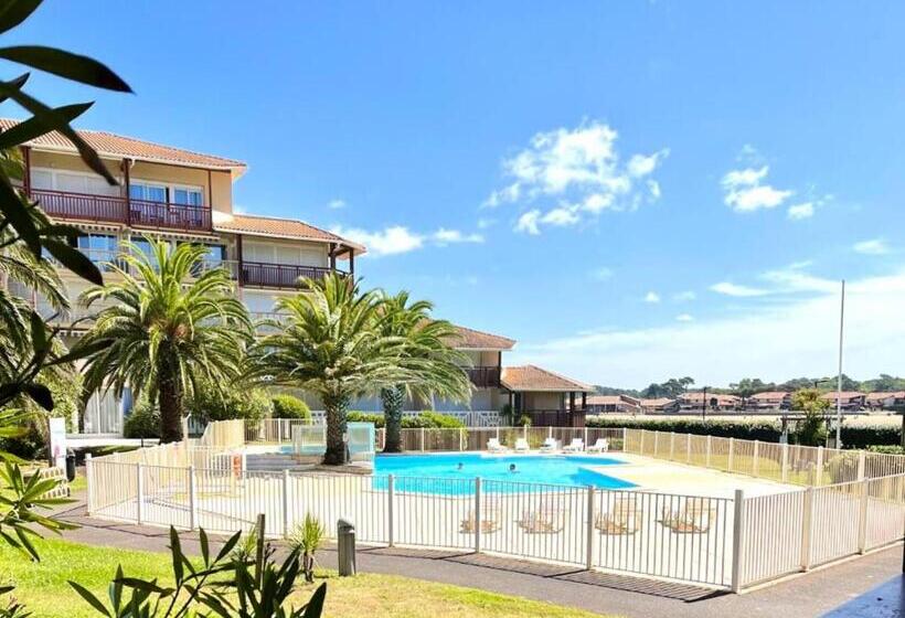 Résidence Le Boucanier 2 Pièces Pour 6 Personnes 924