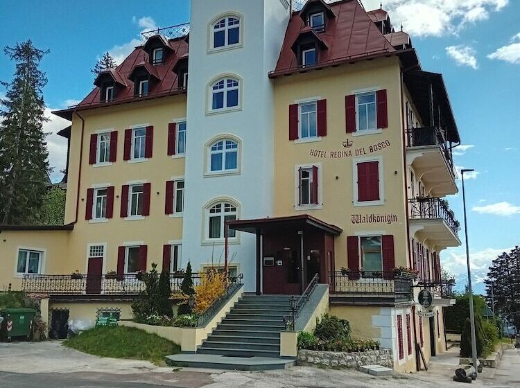 酒店 Regina Del Bosco