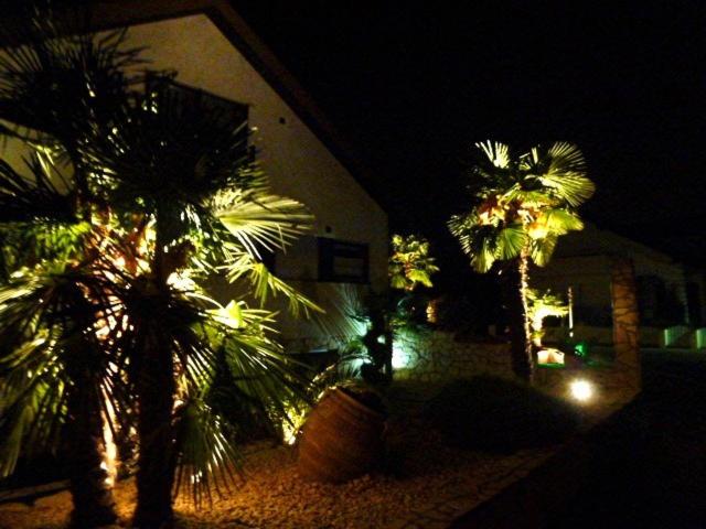 酒店 Apartmenthaus Casa Palma