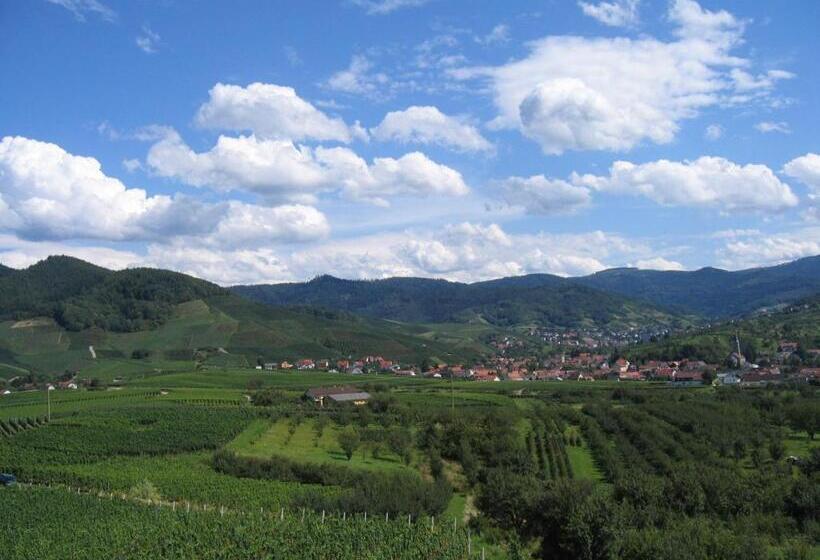 酒店 Apartmenthaus Casa Palma