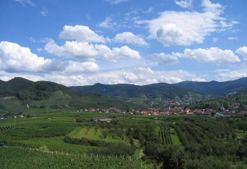 هتل Apartmenthaus Casa Palma