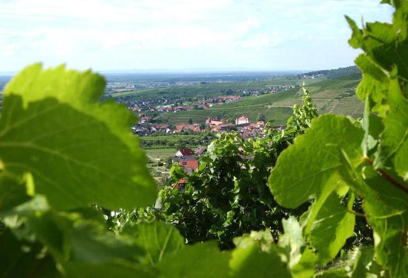 酒店 Apartmenthaus Casa Palma