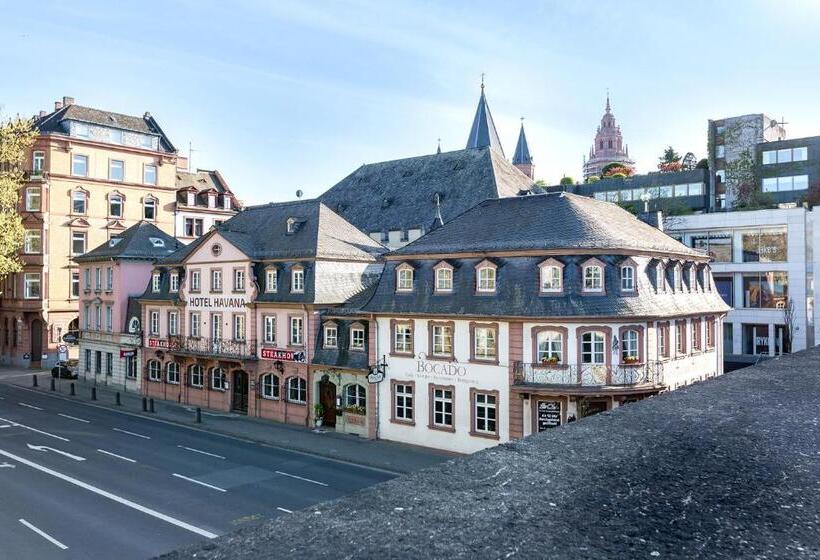 בית מלון כפרי Havana