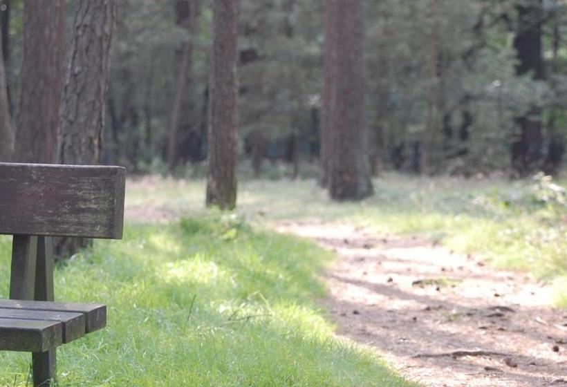 호텔 Heideapartments