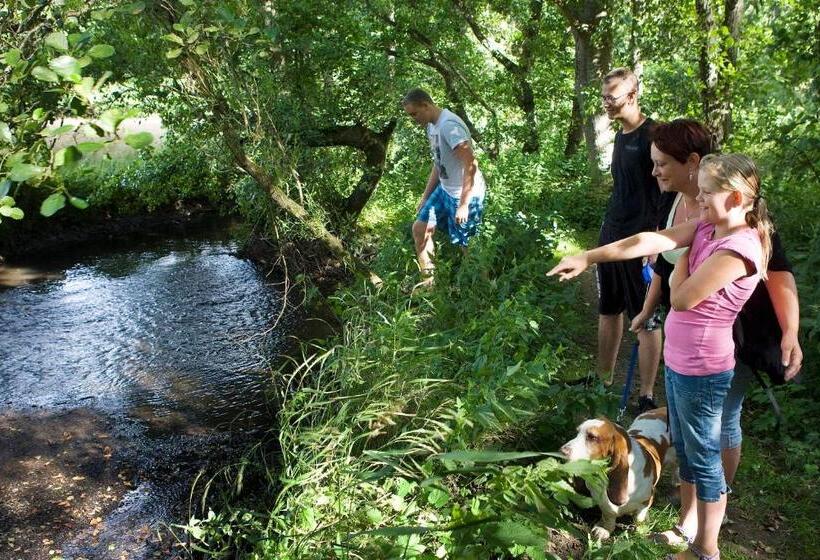 בית מלון כפרי Korning B&b