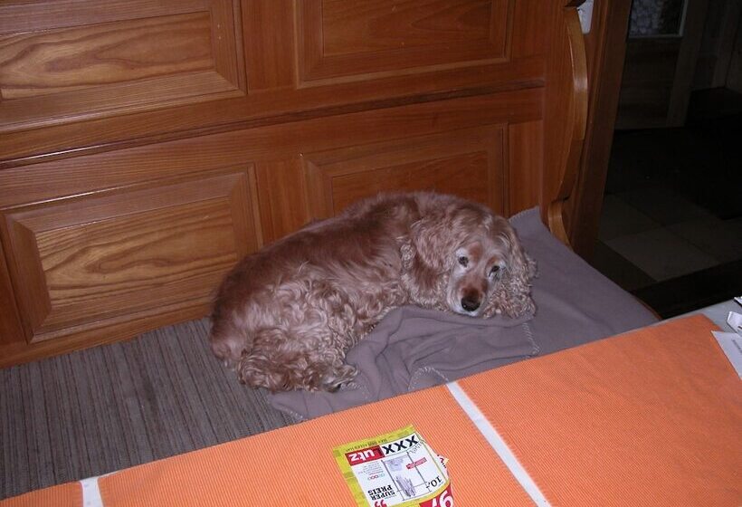 בית מלון כפרי Restaurant Zum Hirschhaus