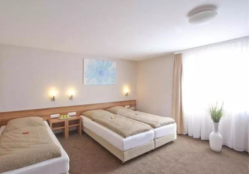 Hotelli Sielminger Hof