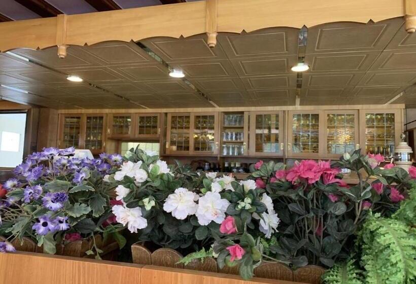 Szálloda Waldeck In Todtnau