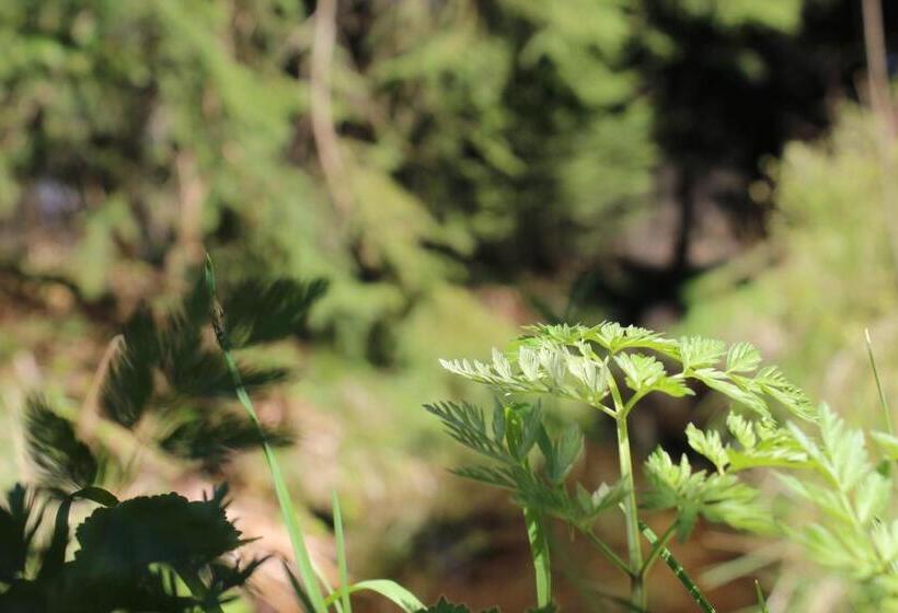 בית מלון כפרי Waldgasthof Bad Einsiedel