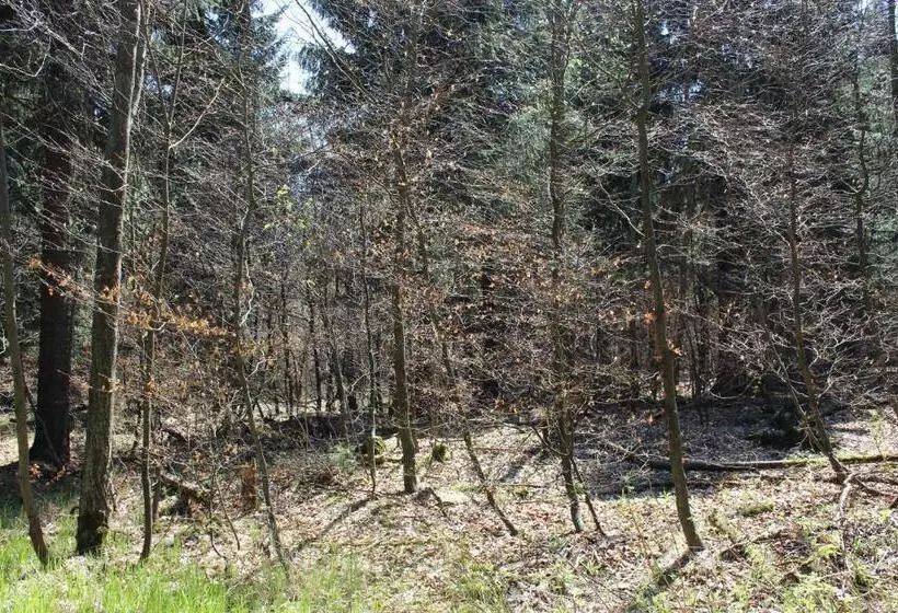 هتل Waldgasthof Bad Einsiedel