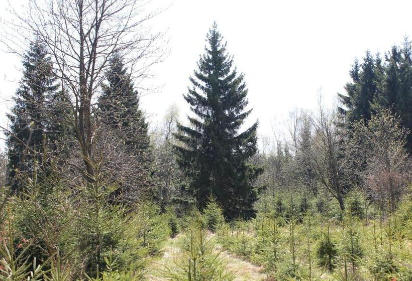 בית מלון כפרי Waldgasthof Bad Einsiedel