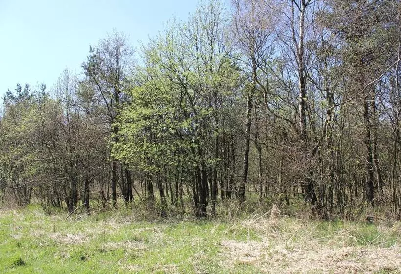 هتل Waldgasthof Bad Einsiedel