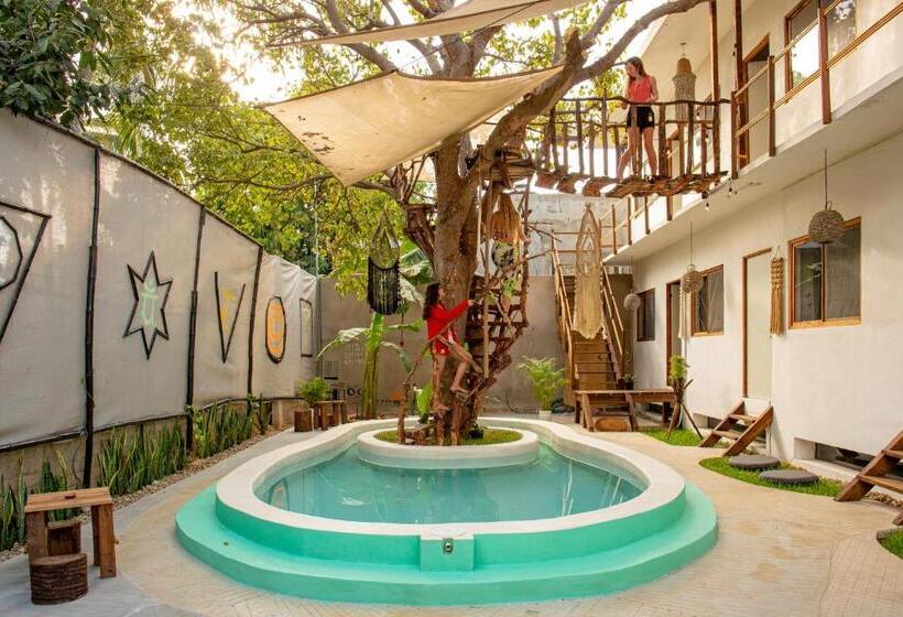 旅馆 Casa Om Chakra