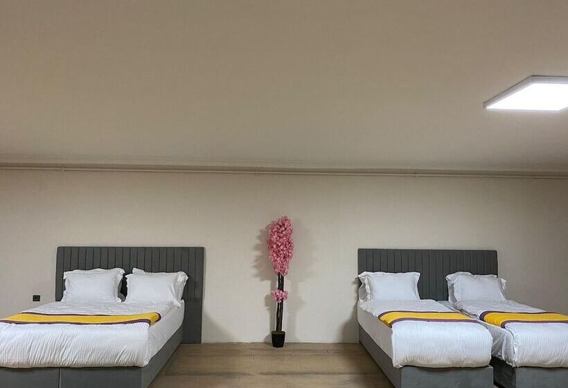 فندق Güner City