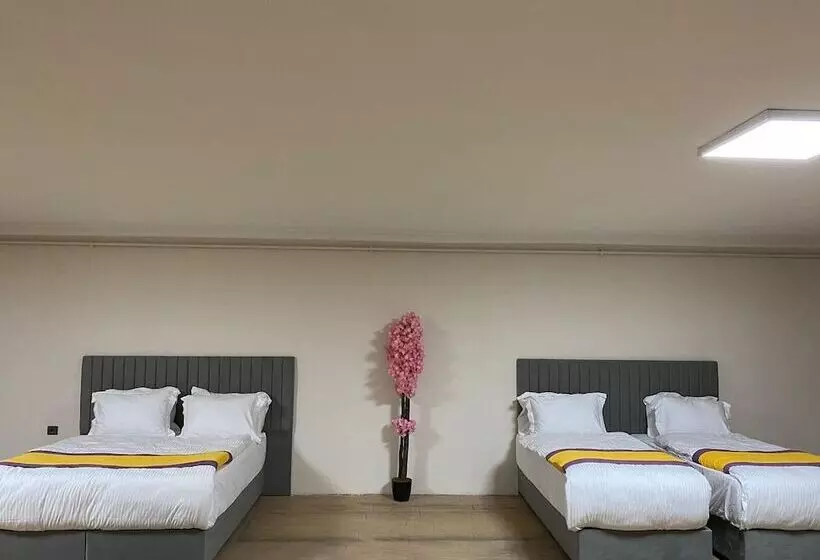 ホテル Güner City